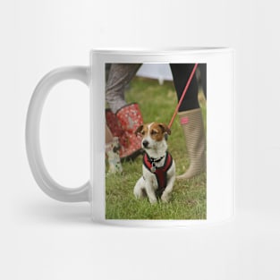 Jack Russell Terrier Mug